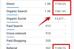 +861% Organic Growth for an E-Commerce Store